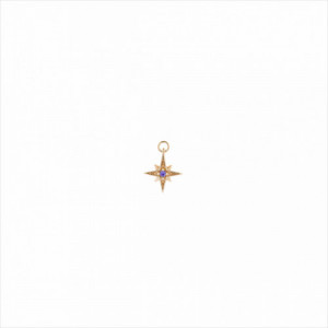 Colgante charm plata bañada en oro, estrella polar circonita morada brillante. Miscellany. Salvatore