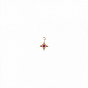 Colgante charm plata bañada en oro, estrella polar circonita rosa fucsia brillante. Miscellany. Salvatore