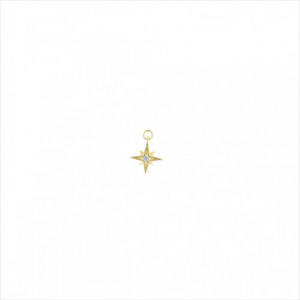 Colgante charm plata bañada en oro, estrella polar circonita blanco brillante. Miscellany. Salvatore