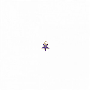 Colgante charm plata bañada en oro, estrella circonita morada brillante. Miscellany. Salvatore