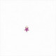 Colgante charm plata bañada en oro, estrella circonita rosa fucsia brillante. Miscellany. Salvatore