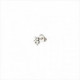 1 Pendiente Good Luck stud, tipo piercing. Diseño de trébol. Metal bañado en plata. Uno de 50