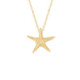 Collar de Plata de ley recubierto de oro. Estrella de mar.