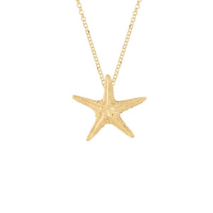 Collar de Plata de ley recubierto de oro. Estrella de mar.