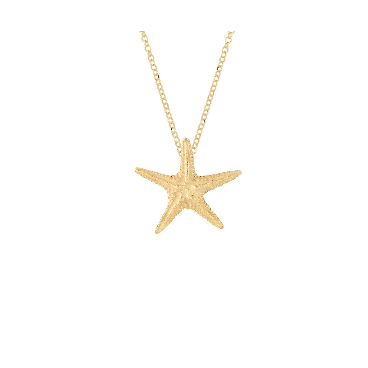 Collar de Plata de ley recubierto de oro. Estrella de mar.